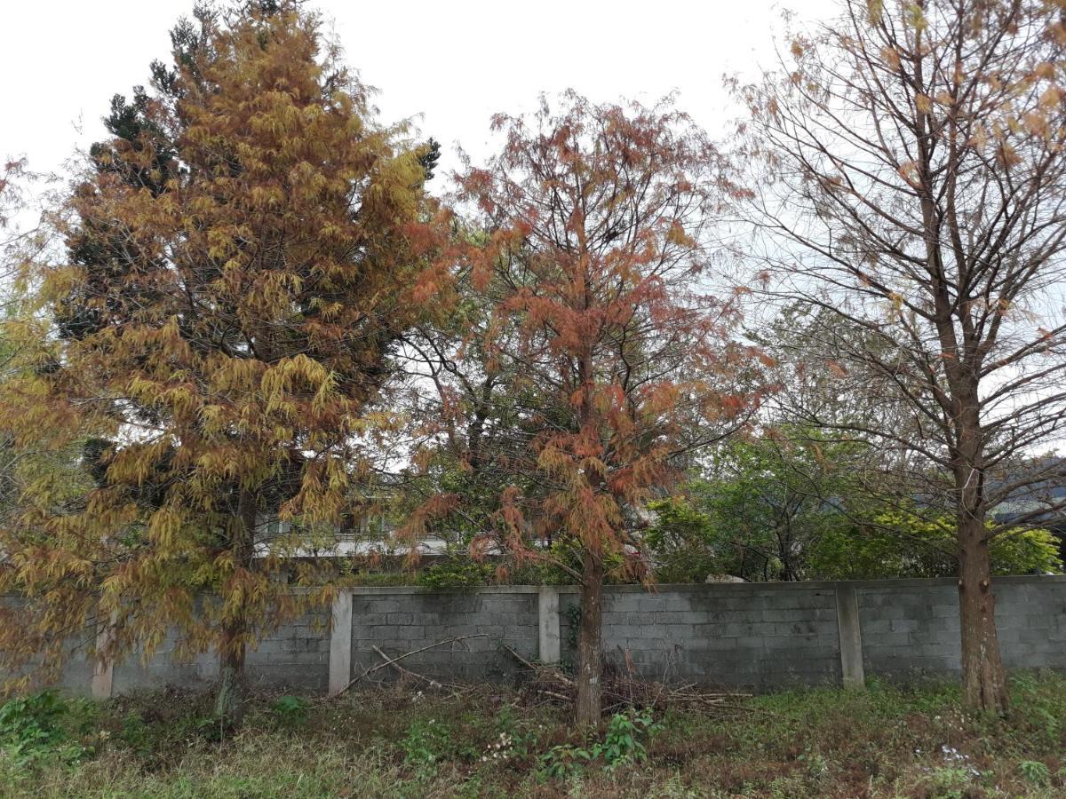63Inn庭園民宿 Pinghe Dış mekan fotoğraf